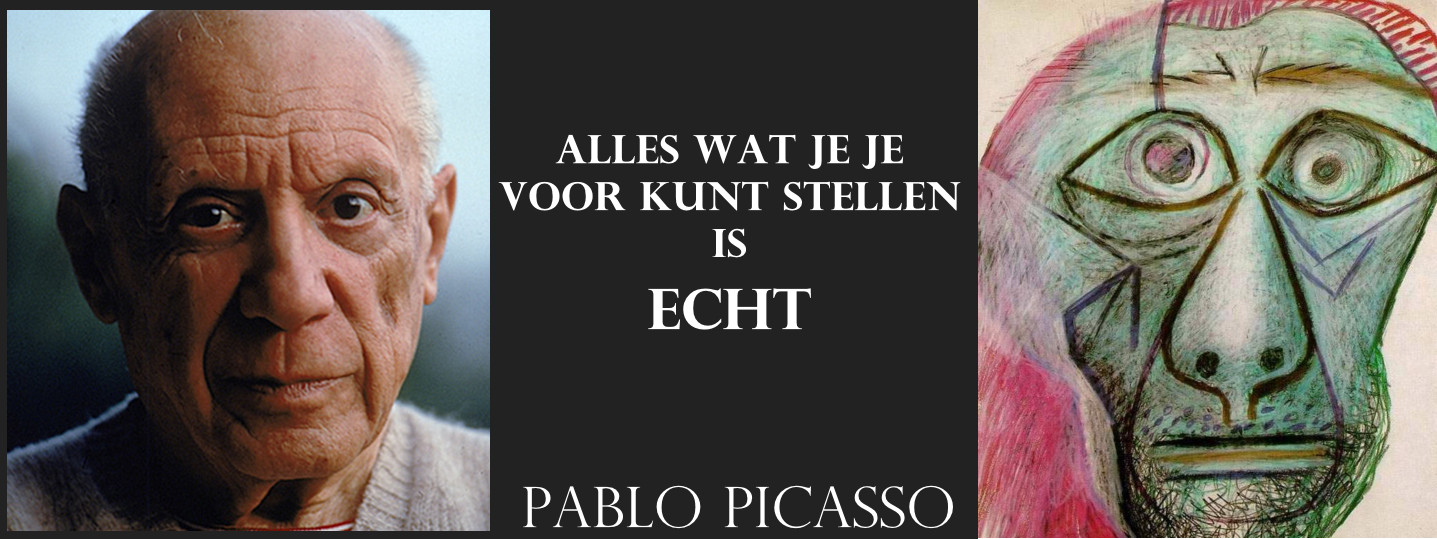 picasso realiteit