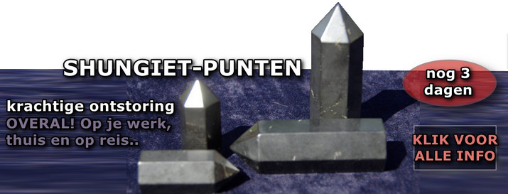 Shungiet punten aanbieding aug 2021 banner