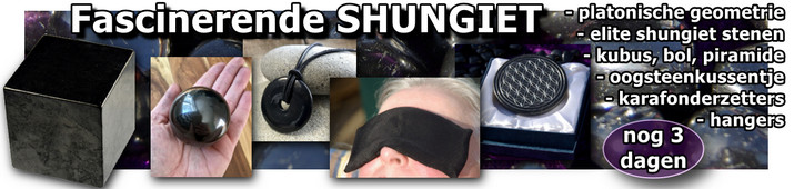 SHUNGIET banner NB april 2021