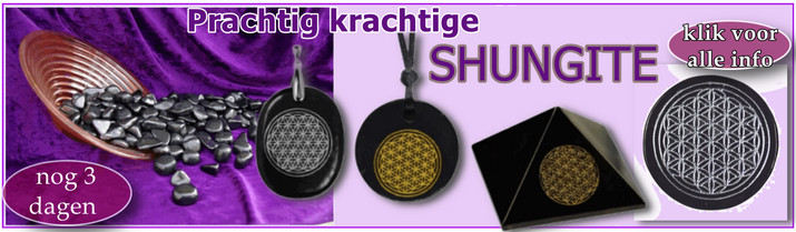 shungite banner NB juni 2023