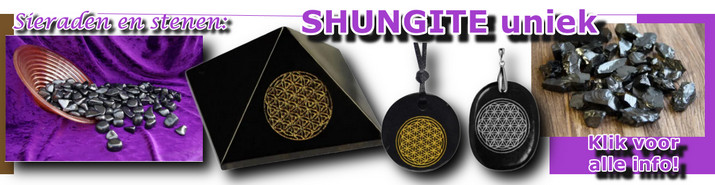 Shungiet FOL NB dec 2022 banner